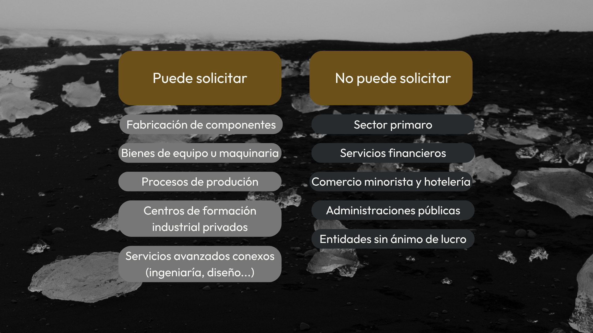 Empresas que se pueden presentar a la ayuda Ia SPRI